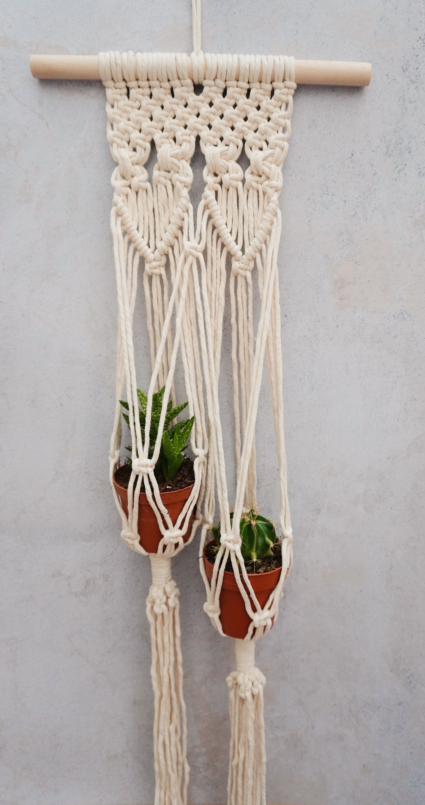 TARJETA REGALO: TALLER DE MACRAMÉ