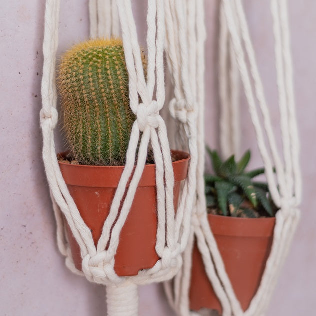 Aprende macrame en Madrid con Monica de Apachucharte