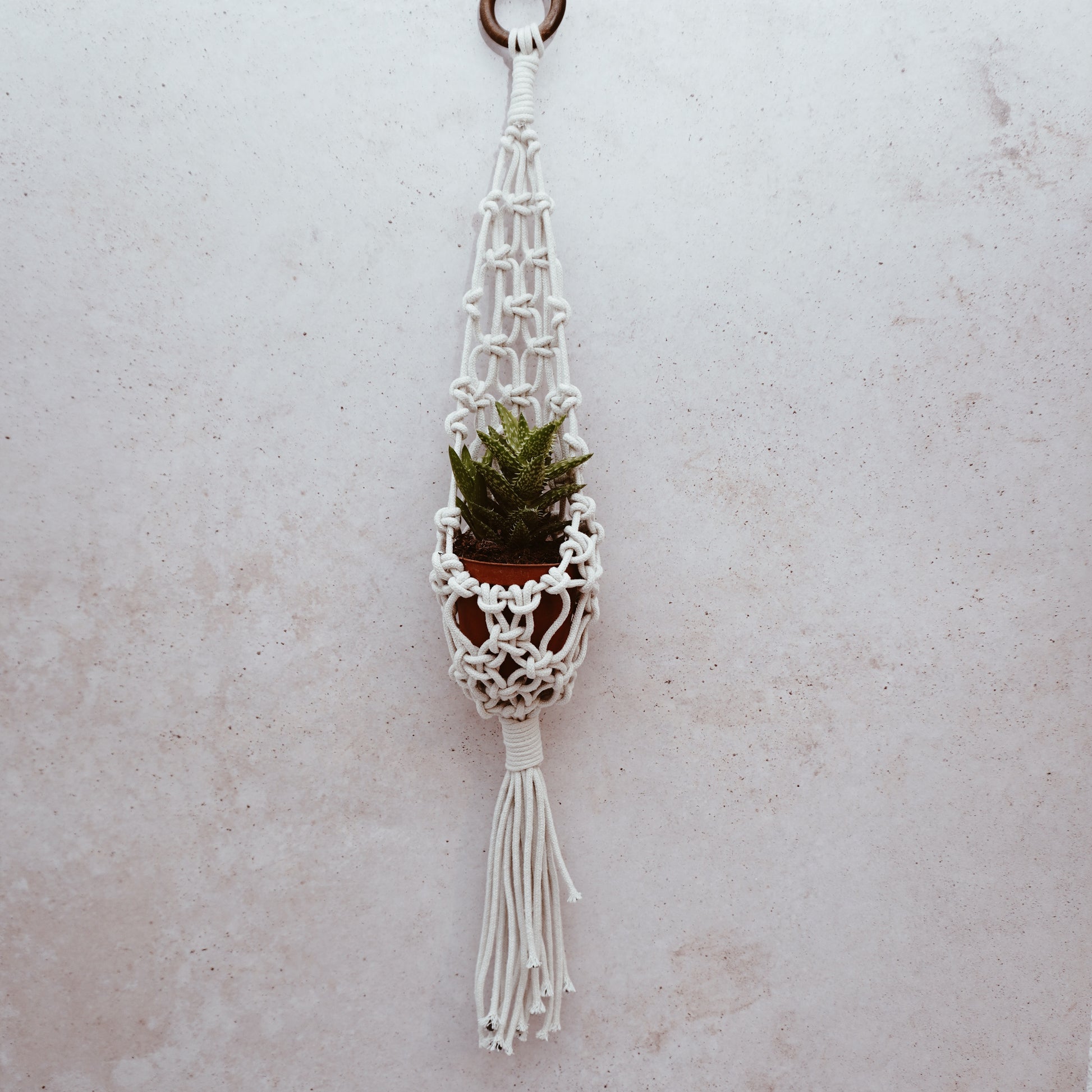 Hangplant macramé 100% artesanal
