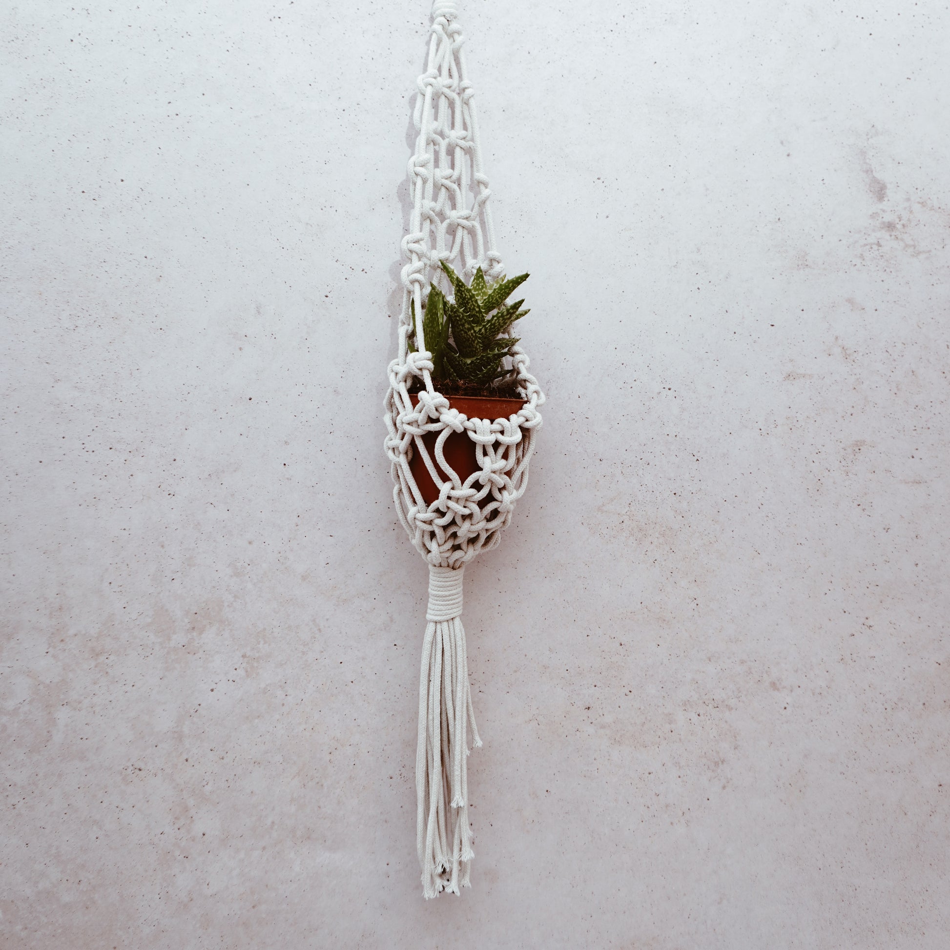 Macramé hangplant handmade
