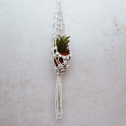 Macramé hangplant handmade